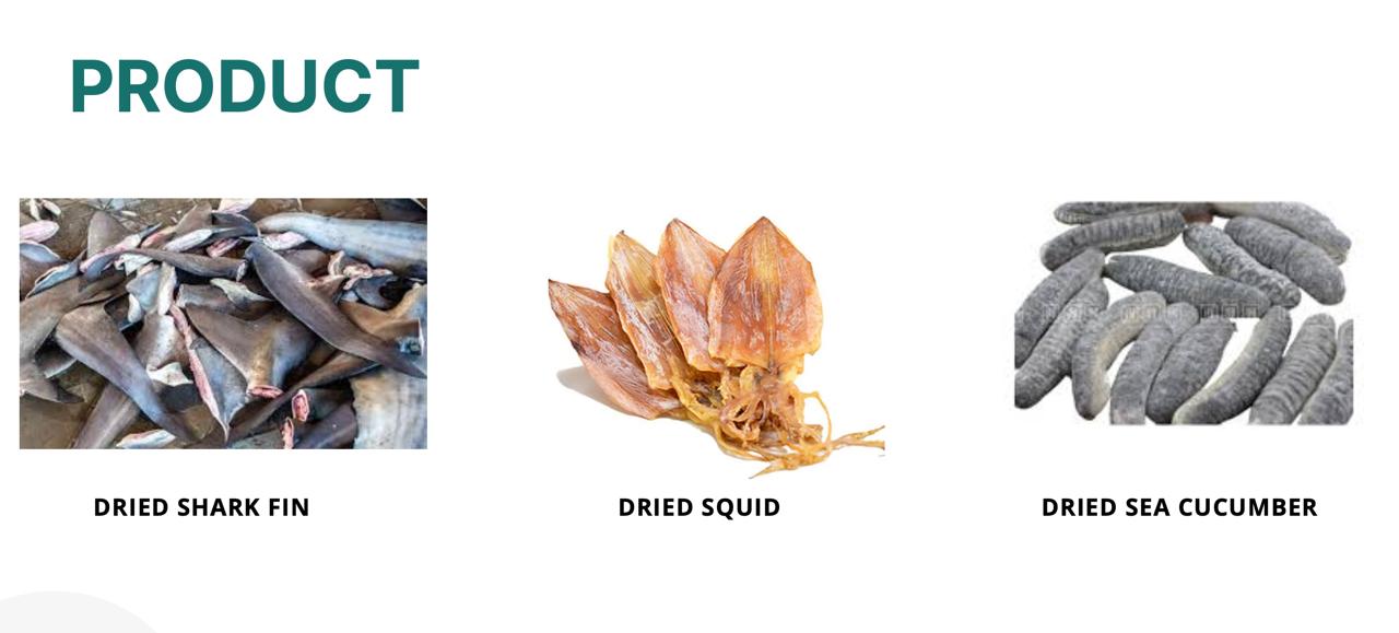 products tht maju indonesia